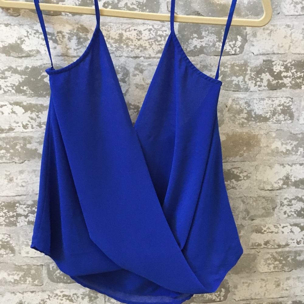 ✌🏻Naked Zebra Vibrant Blue Top